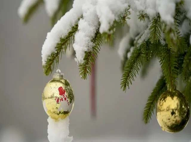 How likely is it that this year will be a snowy Christmas